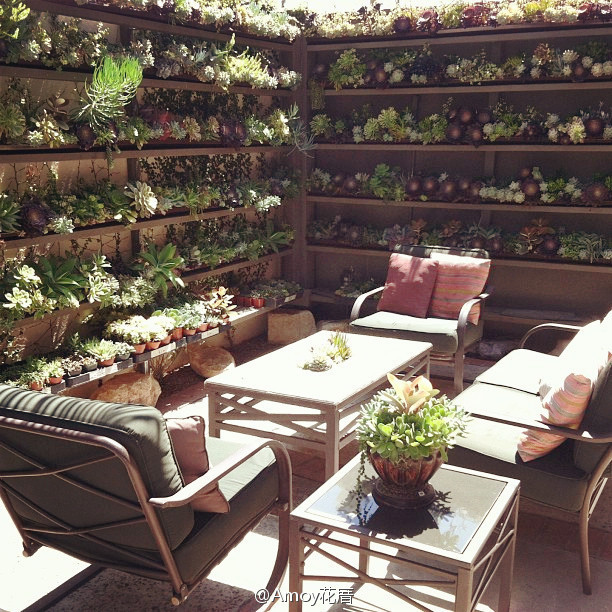 咖啡店多肉店铺装修图片多肉墙图片绿植花卉店装修效果图多肉植物墙