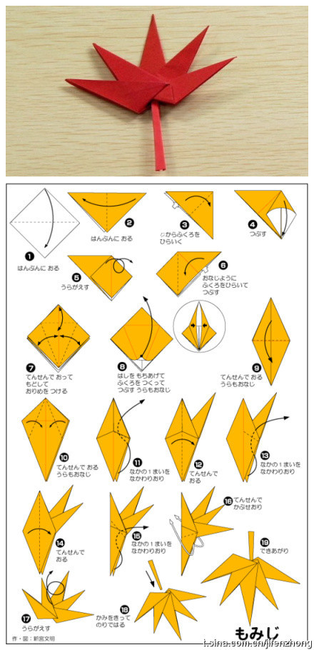 枫叶折法图片