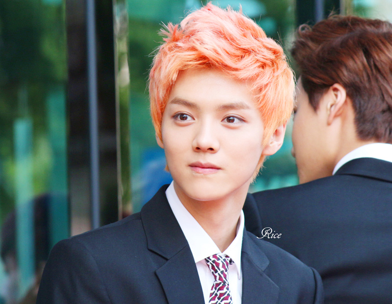 luhan☆130627【图图】[rices]0626江南开