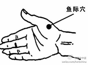 由于鱼际穴就在手上,所以每天抽空搓搓手,就会有不错的保健功效.