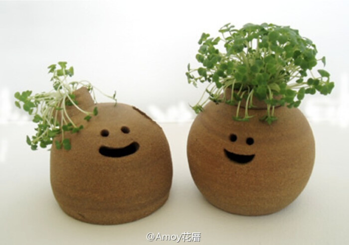 治愈1系小花器圆脸我来了真人动态微信表情,种都是一副惊讶的表…图片