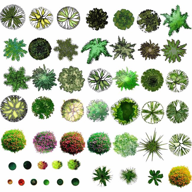49种ps植物平面图建筑设计需要的书图片