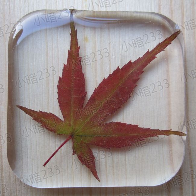 【手作】手工 水晶滴胶 树脂 钻石花朵 花草 标本