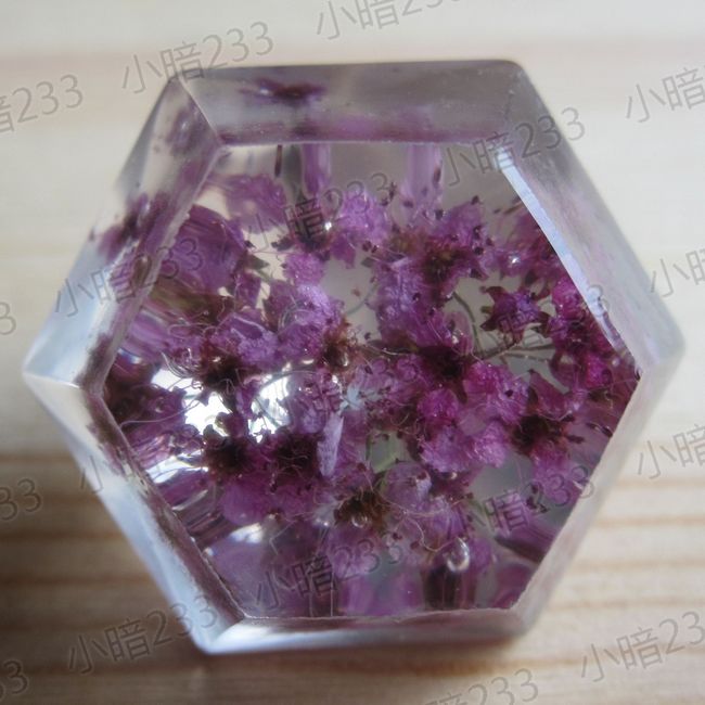 【手作】手工 水晶滴胶 树脂 钻石花朵 花草 标本