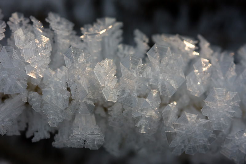 the beauty of ice crystals