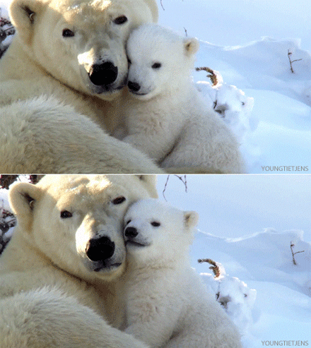 妈妈的怀抱是世界上最温暖的地方 #熊抱