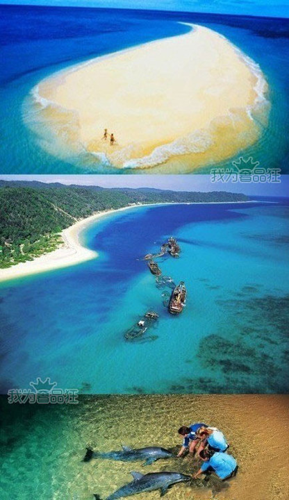 海豚湾——坐落于距离澳洲阳光之都澳大利亚布里斯班30公里处的海面上