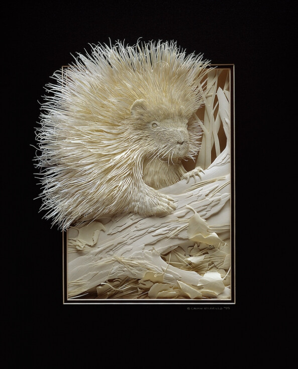 calvin的纸雕系列作品——刺猬(二)