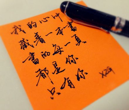 我的心中,藏着一本书,书的每一页都是你,只有你.