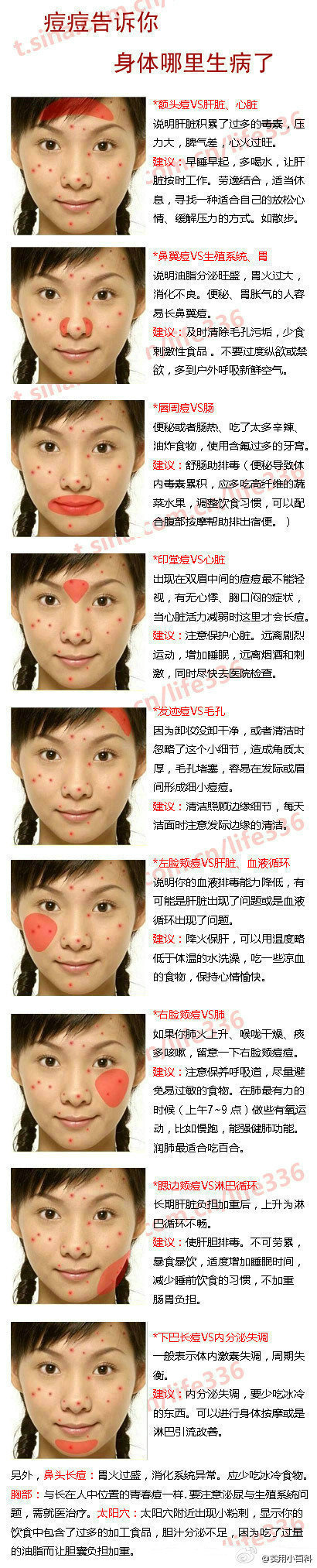 胃;唇周痘--肠;印堂痘--心脏;发迹痘--毛孔;左脸颊痘--肝脏 血液循环图片