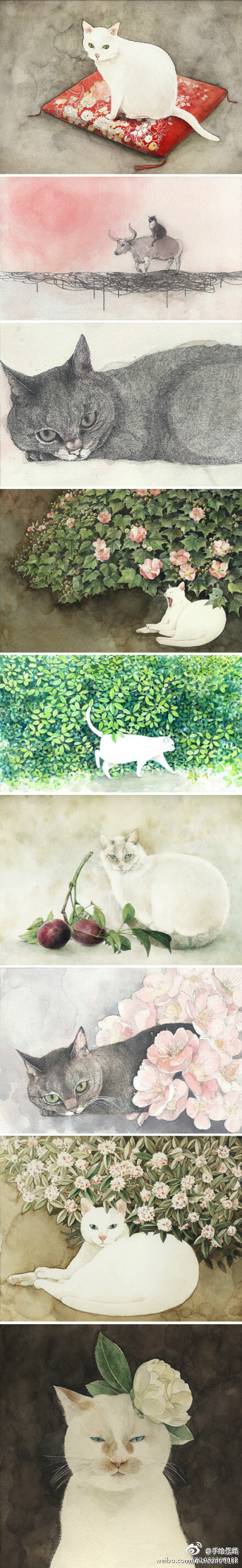 日本插画家山田绿(midori yamada 喜欢画猫,她笔下的喵星人总是慵懒