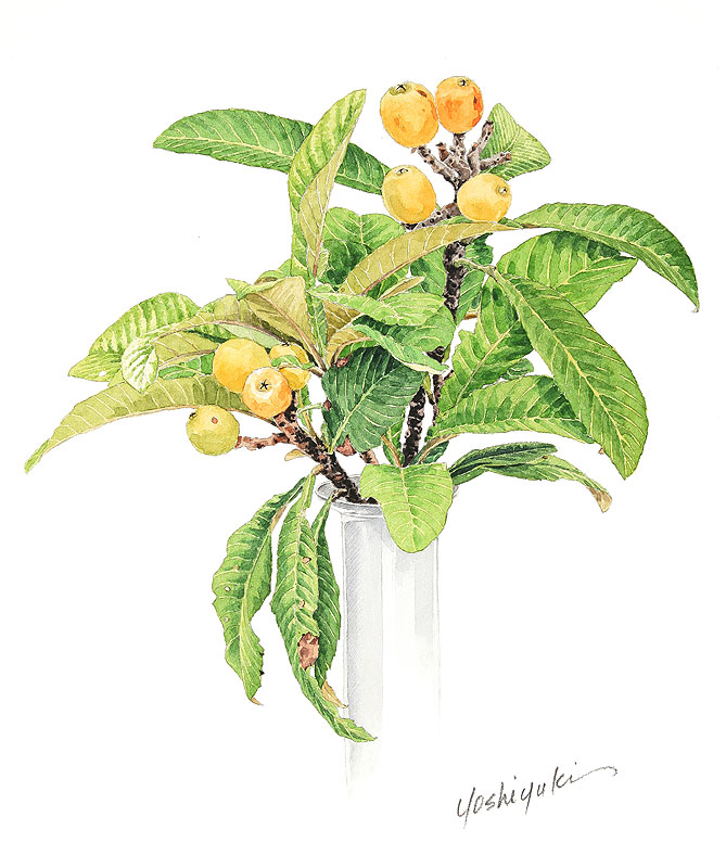 びわ水彩画イラスト 花器に生けられた枇杷の実水彩画イラスト