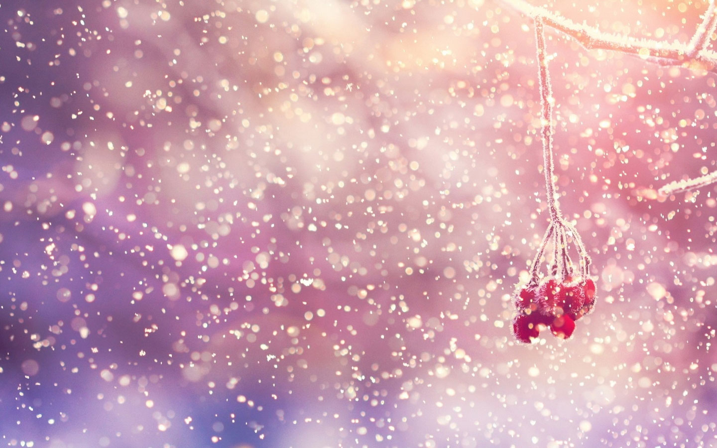 初冬浪漫雪景1440x900高清壁纸-http://bizhi.33lc.com/pcbz/5632.