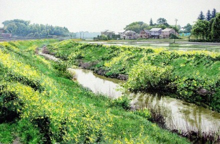 森系插画#风景绘画 | 田中己永