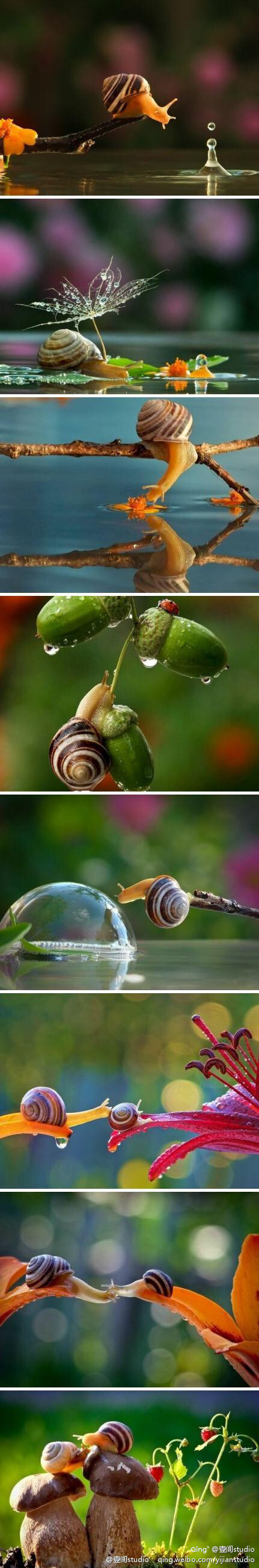 情侣蜗牛打伞图片图片