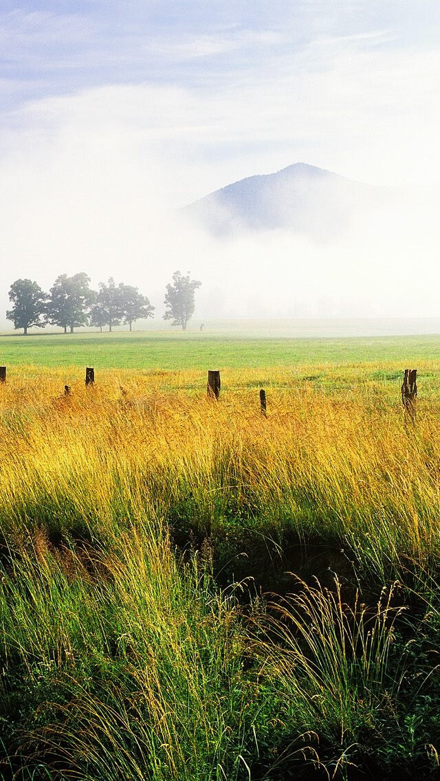 spring field iphone 5s wallpaper