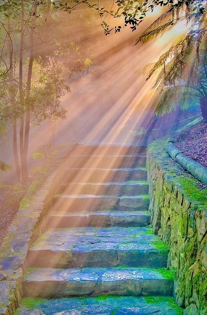 清晨,满满的阳光.内心,满满的欢喜.开始美好的一天.