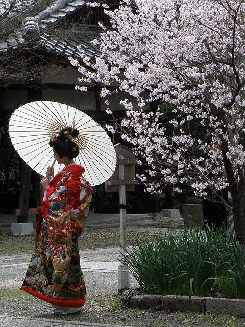 艺妓
