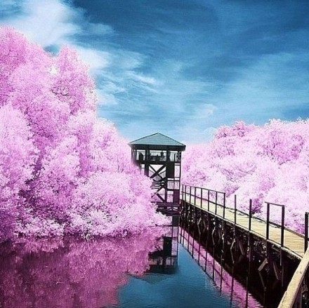 印度尼西亚,巴厘岛.美景如画