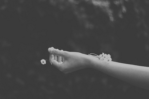 『julyの图集』手如柔荑肤如凝脂抓住你内