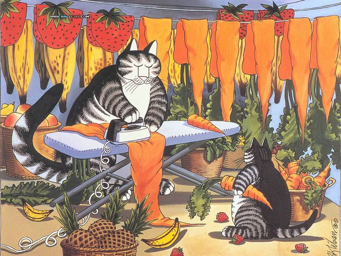 幽默猫咪生活插画壁纸- cat dreams bernard kliban cat paintings