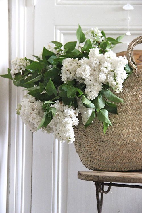 white lilacs   straw market basket