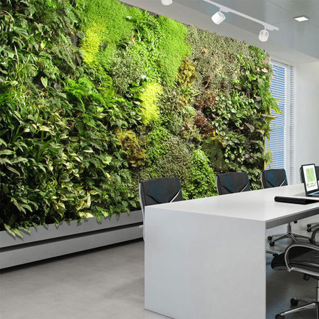 綠植墻貼圖-室內綠化墻植物墻，設計和經典圖片案例分享