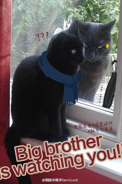 神探夏洛克# big brother is watchingyou.