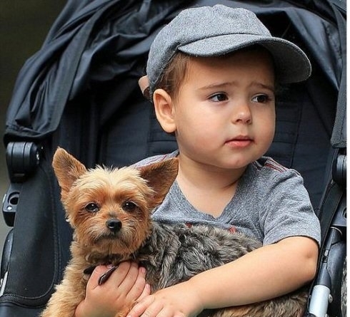 弗林这淡淡的小忧郁