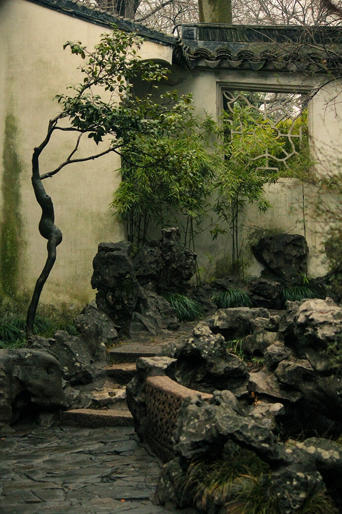 幽阶苔生(苏州园林)
