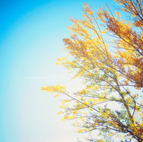 治愈系小清新摄影图片-堆糖,美好生活研究所