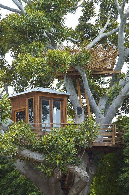 treehouse