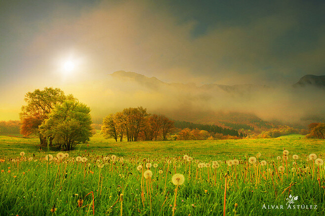 简洁具有意境的冷暖极致的作品-堆糖,美好生活研究所