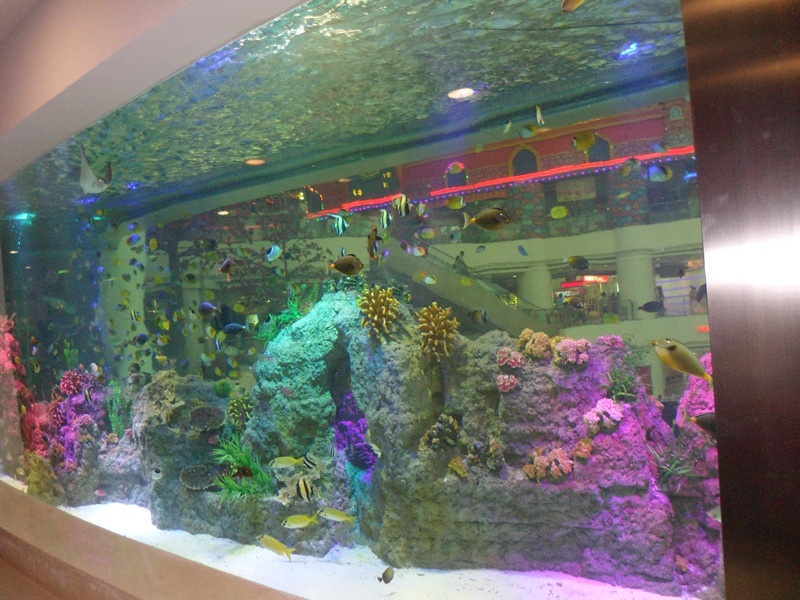 fireflytrip.com广州正佳商场水族馆