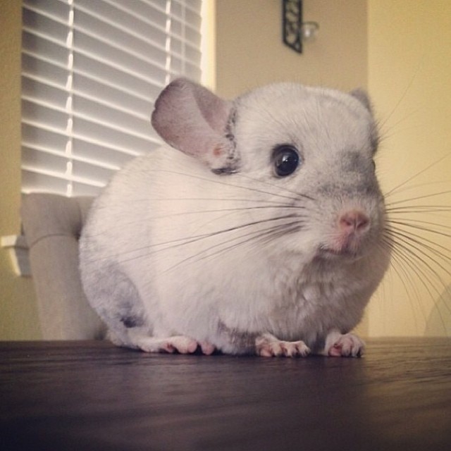 smile, its the weekend!