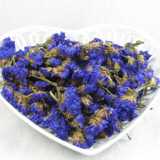 花草茶 勿忘我花茶 滋阴补肾美白祛斑抗衰老 纯天然 无添加