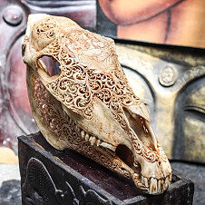 hand carved㊣手作孤品代购 绝美真实马头骨雕刻雕花艺术品罕见品