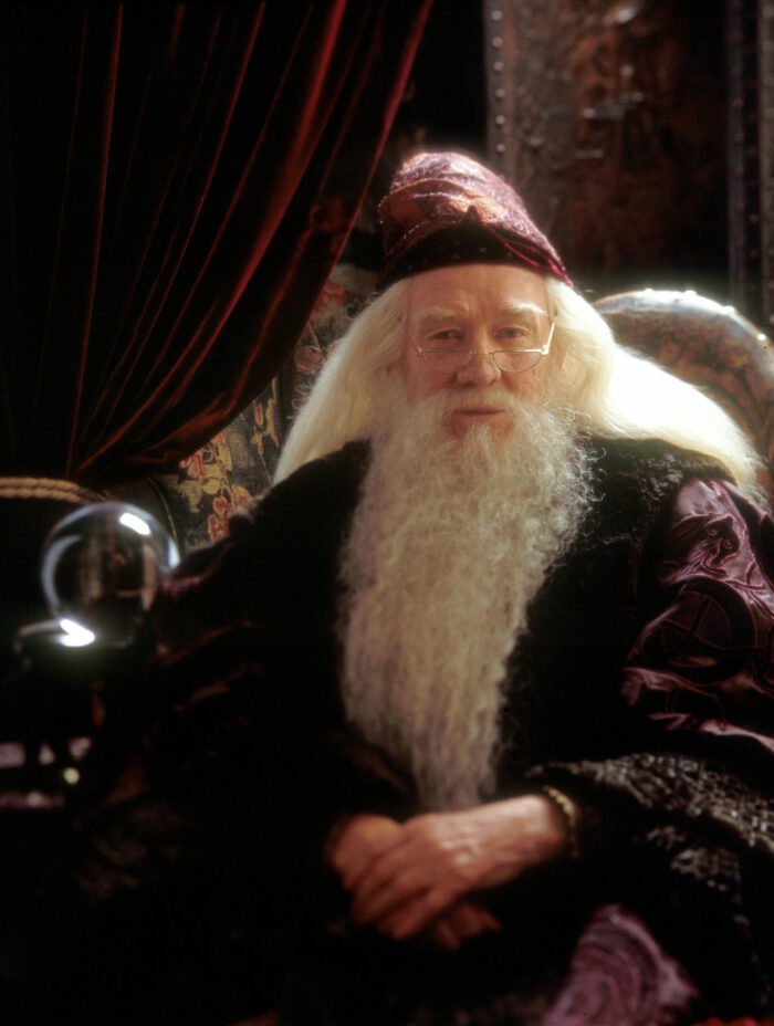 布赖恩·邓布利多(albus percival wulfric brian dumbledore),扮演