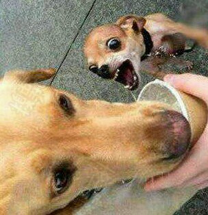 【内涵图】新鲜出炉的搞笑照片, 爆笑囧屯