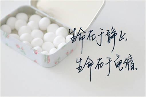 手写 辛夷坞 许我向你看 谢桔年 生命在于静止,生命在于龟缩