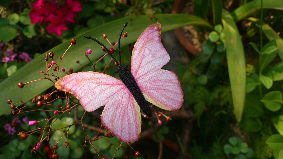 粉红色的,好多美丽的蝴蝶,太喜欢了