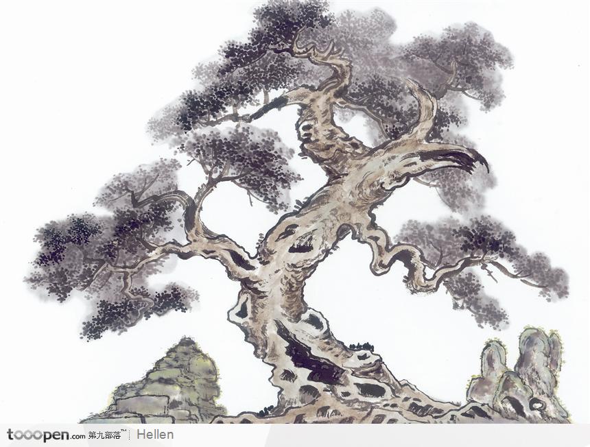 山间弯曲的松树