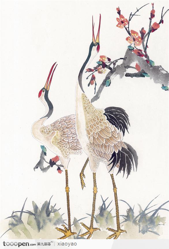 工笔画—白鹤图