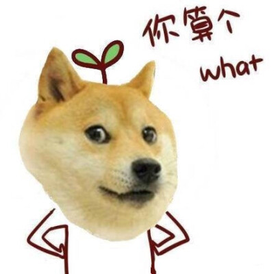 好你个贱人,竟敢拿麻袋套我!有种周五放学别走,小卖部门口一决高下!