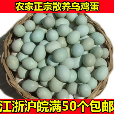 正宗乌鸡蛋绿壳鸡蛋 农家散养正宗乌鸡蛋新鲜乌鸡蛋