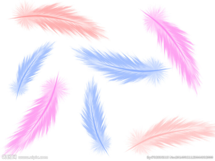 羽毛笔刷矢量图__动物笔刷_ps笔刷_矢量图