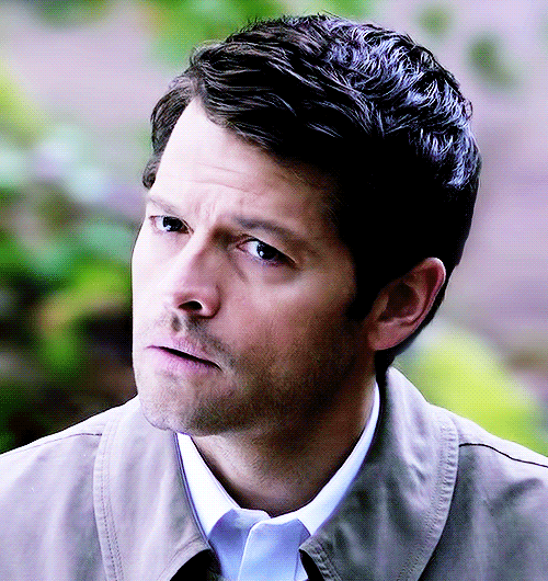 misha collins 呆萌小翅膀 小卡 cass