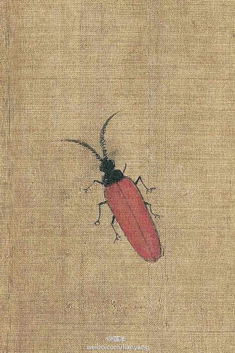 黄荃《写生珍禽图》