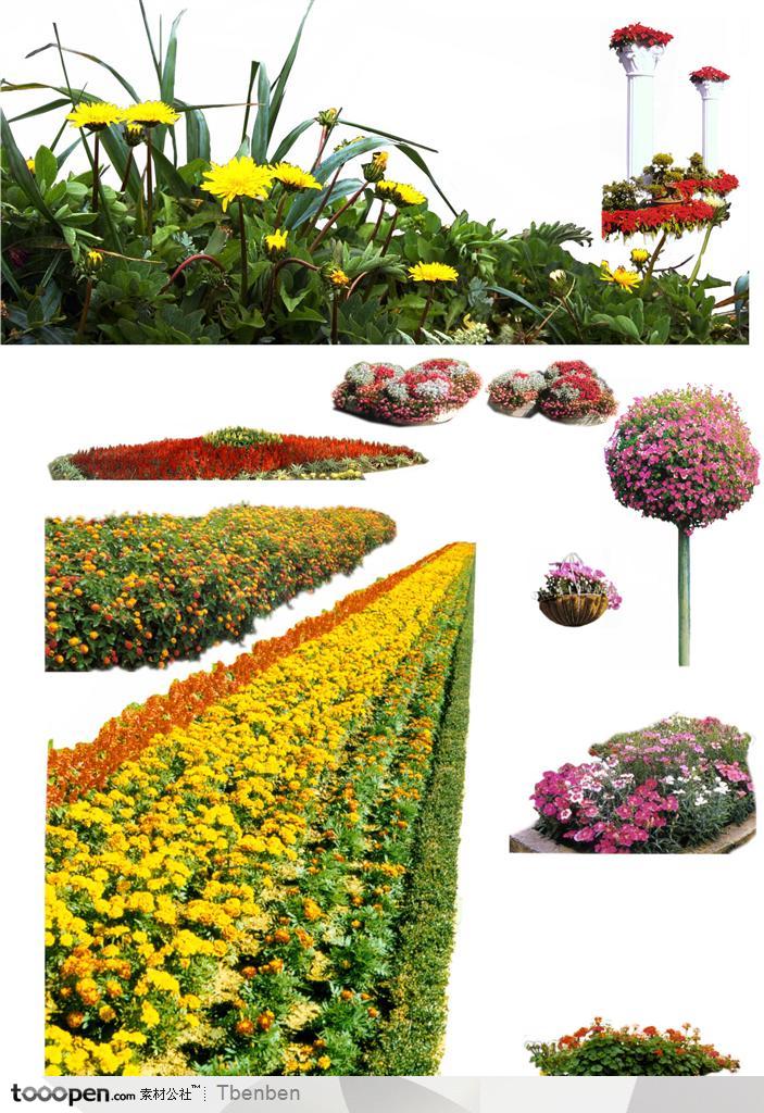 园林花卉psd分层素材