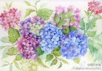 法国艺术家anne-marie patry-belluteau水彩花卉,花团锦簇的丰满,一枝